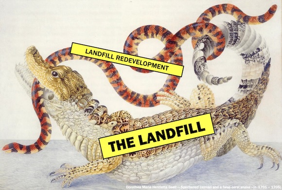 18th Century print of a false coral snake being bitten by a false caiman. The snake is labeled "landfill redevelopment" and the false caiman is labeled "the landfill."