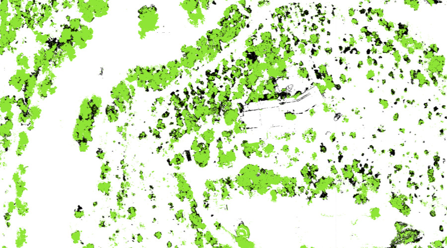 A map shows the extent of canopy cover and die-back on a large parcel.